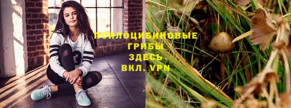 ALPHA PVP Алзамай