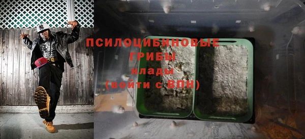 хмурый Абаза