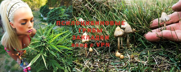 кристаллы Алексин