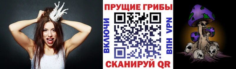 дарнет шоп Пыталово Галлюциногенные грибы GOLDEN TEACHER
